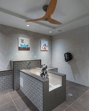 Pet spa